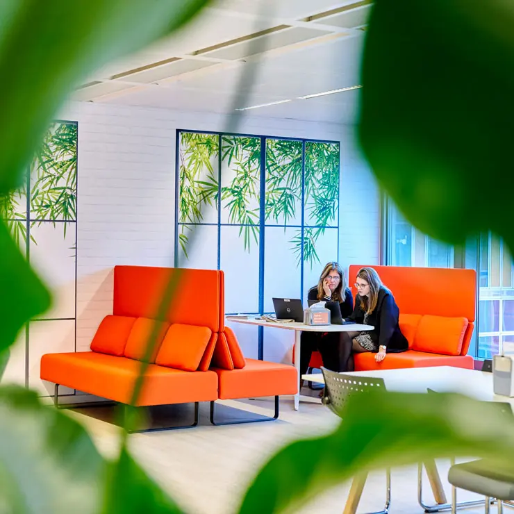Afbeelding van een ruimte genaamd Oasis in de kantoren van Orange Afbeelding van een ruimte genaamd Oasis in de kantoren van Orange