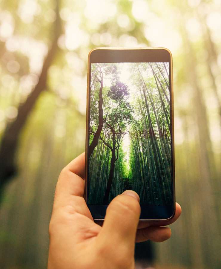 smartphone met foto van bomen