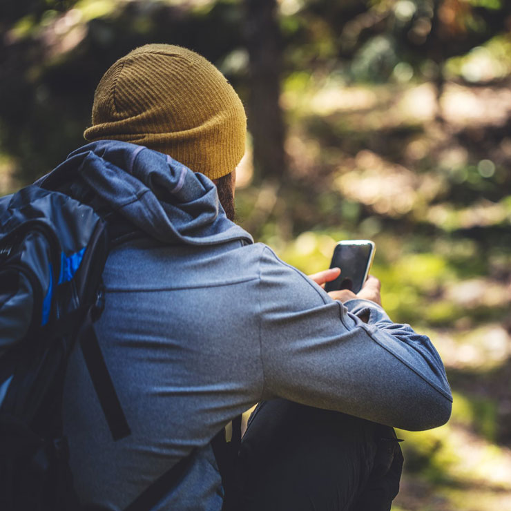 personne qui regarde un smarphone