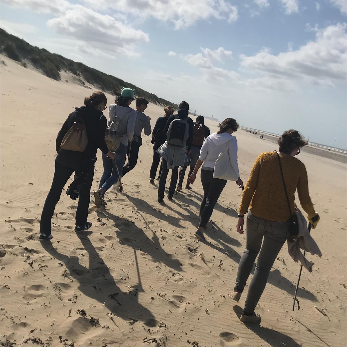 employees cleaning beach